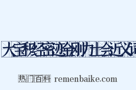 大宝积经密迹金刚力士会近义词是什么意思的图片